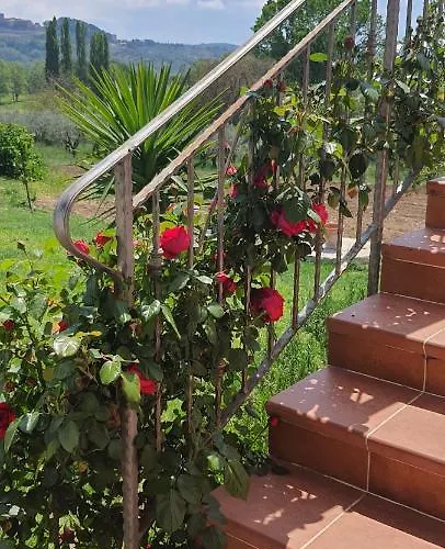 Διαμέρισμα Cerreto 2